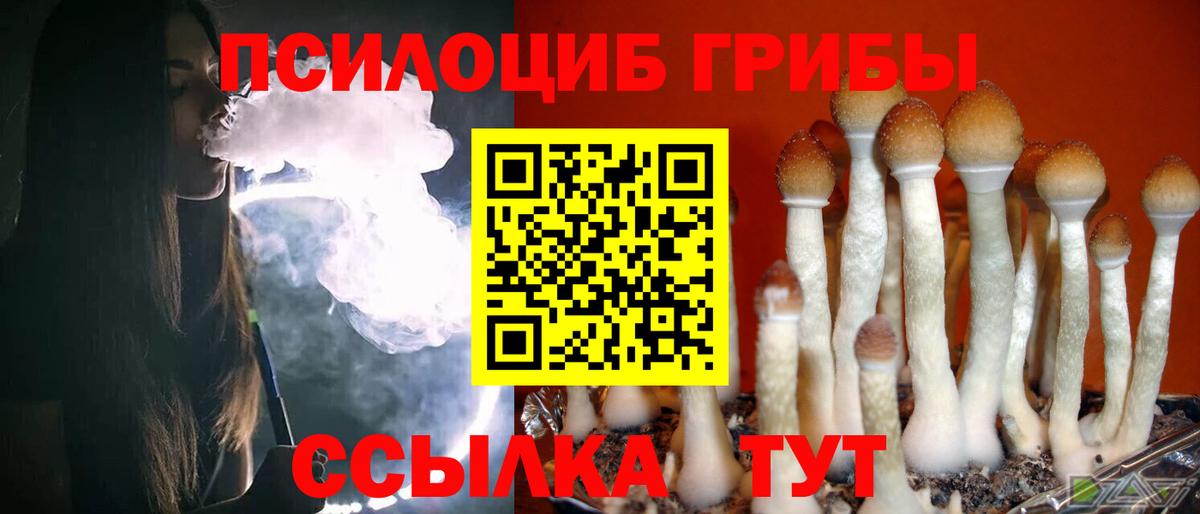 Псилоцибиновые грибы Psilocybe  Вход с VPN  Воркута 